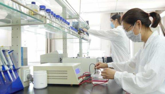 一个女企业家的现代农业之梦——访人生就是博董事长徐志文 一个女企业家的现代农业之梦——访人生就是博董事长徐志文