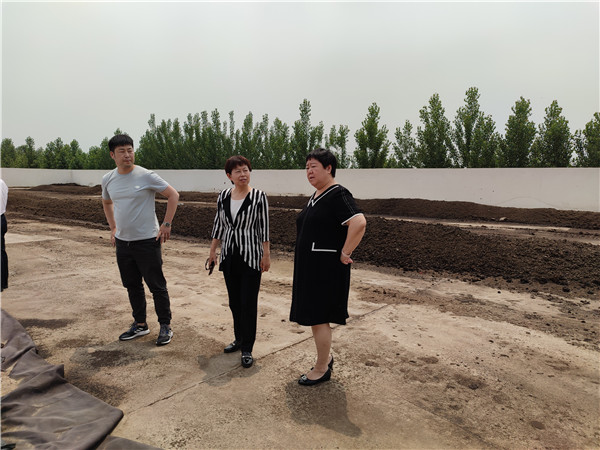 农业农村部微生物肥料和食用菌菌种质量监督检验测试中心李俊主任、姜昕主任来人生就是博公司调研、指导事情 农业农村部微生物肥料和食用菌菌种质量监督检验测试中心李俊主任、姜昕主任来人生就是博公司调研、指导事情