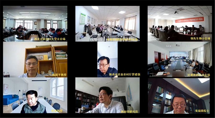 �������ǲ�����������ص��з��ƻ���������ԭ������ˮ�����������������ģʽ��Ӧ�á���Ŀ����