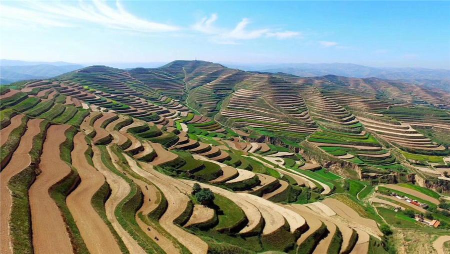 �������ǲ�����������ص��з��ƻ���������ԭ������ˮ�����������������ģʽ��Ӧ�á���Ŀ����